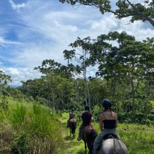 10-daagse Paardrijdtocht van berglandschappen naar de Pacifische kust - Costa Rica - Afbeelding 2