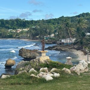 7-daagse ultieme paardenreis in het hart van het Caribisch gebied - Barbaros - Afbeelding 25