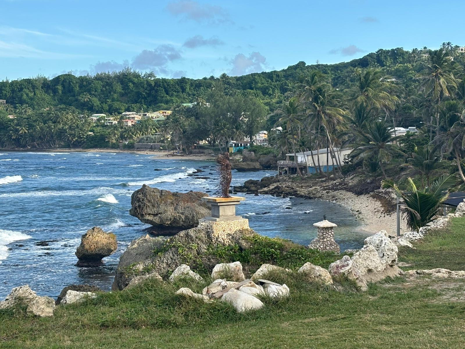 7-daagse ultieme paardenreis in het hart van het Caribisch gebied - Barbaros - Afbeelding 25