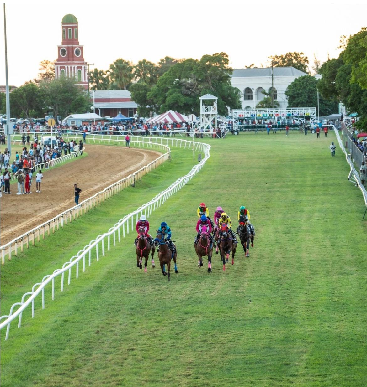 7-daagse ultieme paardenreis in het hart van het Caribisch gebied - Barbaros - Afbeelding 22