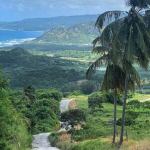 7-daagse ultieme paardenreis in het hart van het Caribisch gebied - Barbaros - Afbeelding 15