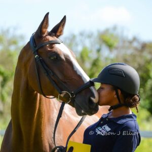 7-daagse ultieme paardenreis in het hart van het Caribisch gebied - Barbaros - Afbeelding 18