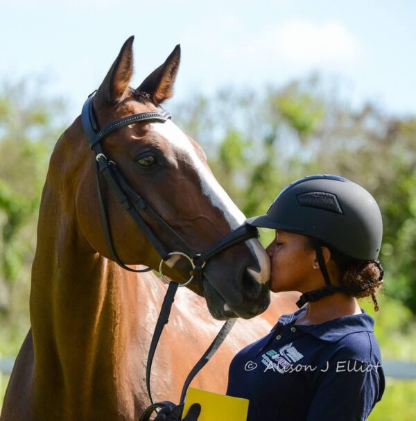 7-daagse ultieme paardenreis in het hart van het Caribisch gebied - Barbaros