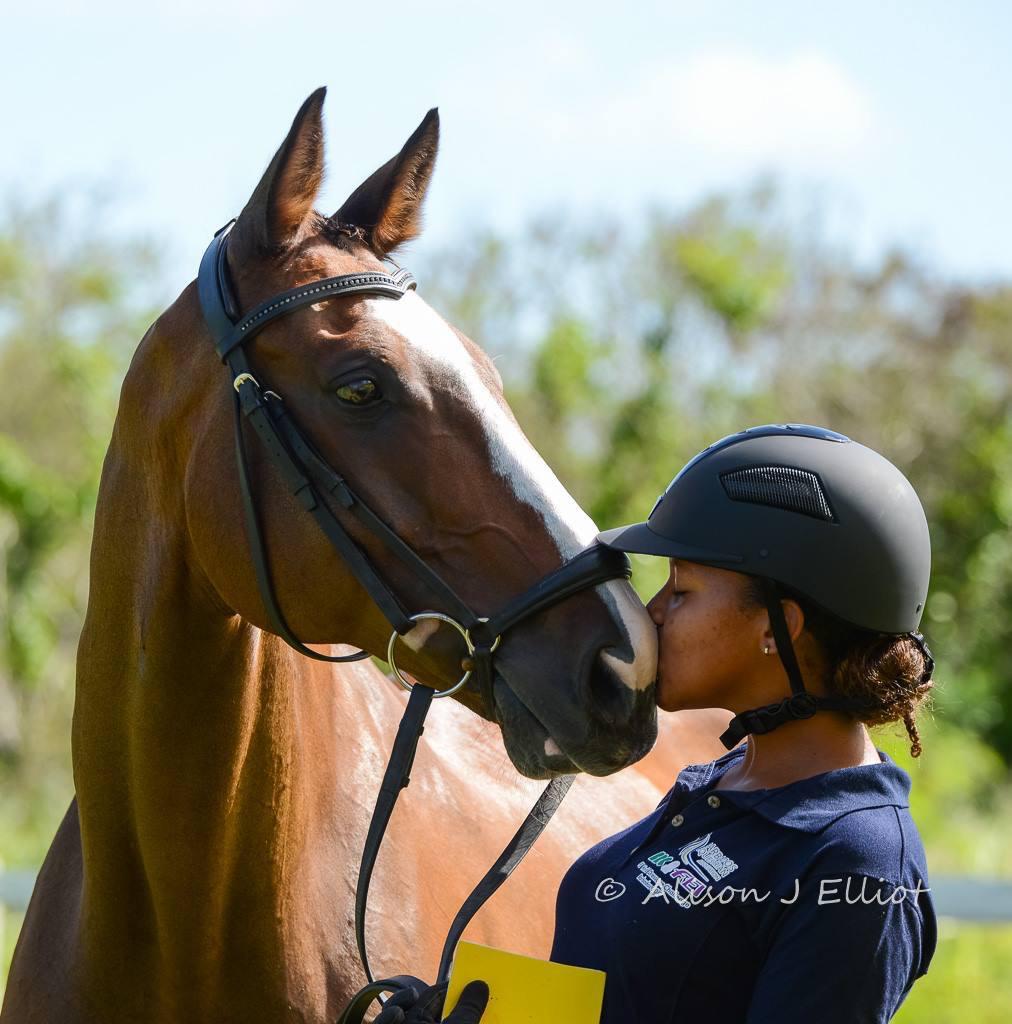 7-daagse ultieme paardenreis in het hart van het Caribisch gebied - Barbaros - Afbeelding 18