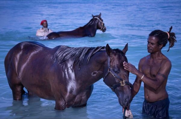 7-daagse ultieme paardenreis in het hart van het Caribisch gebied - Barbaros
