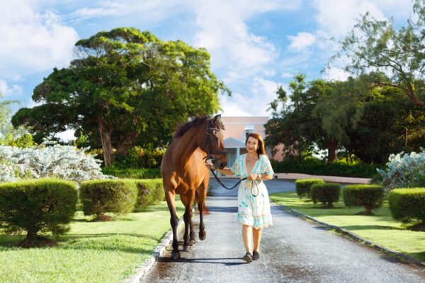 7-daagse ultieme paardenreis in het hart van het Caribisch gebied - Barbaros