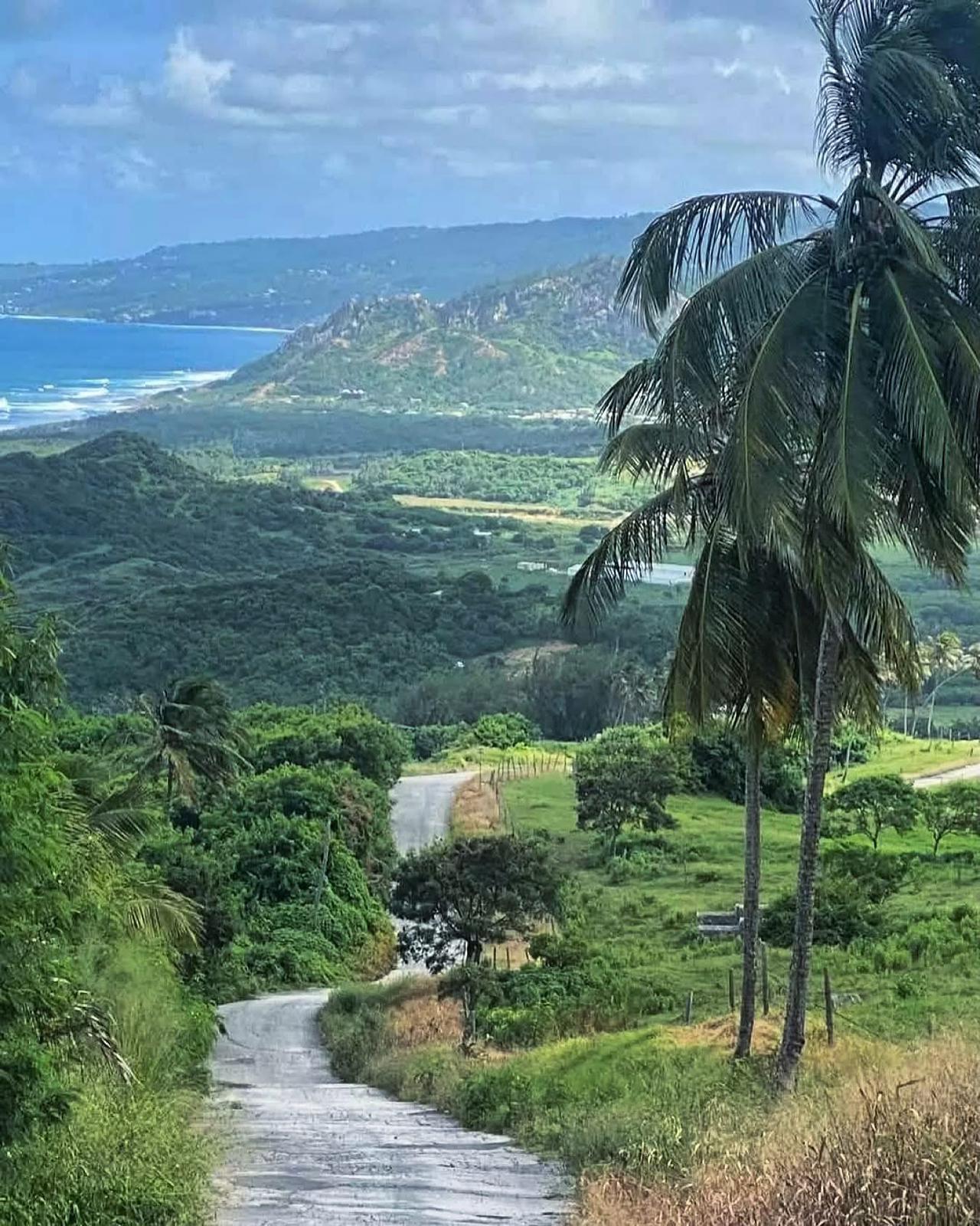 7-daagse ultieme paardenreis in het hart van het Caribisch gebied - Barbaros - Afbeelding 15