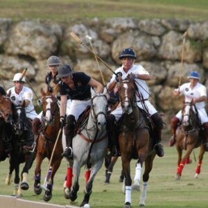 7-daagse ultieme paardenreis in het hart van het Caribisch gebied - Barbaros - Afbeelding 14