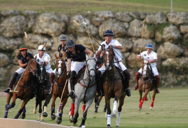 7-daagse ultieme paardenreis in het hart van het Caribisch gebied - Barbaros