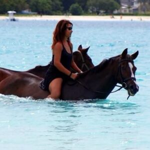 7-daagse ultieme paardenreis in het hart van het Caribisch gebied - Barbaros - Afbeelding 13