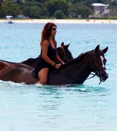 7-daagse ultieme paardenreis in het hart van het Caribisch gebied - Barbaros