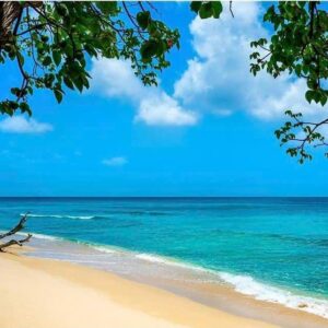 7-daagse ultieme paardenreis in het hart van het Caribisch gebied - Barbaros - Afbeelding 12