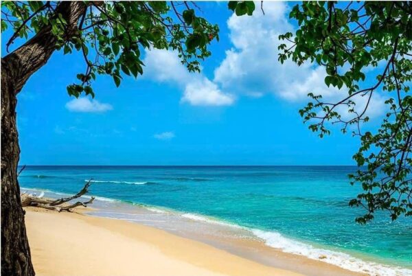 7-daagse ultieme paardenreis in het hart van het Caribisch gebied - Barbaros