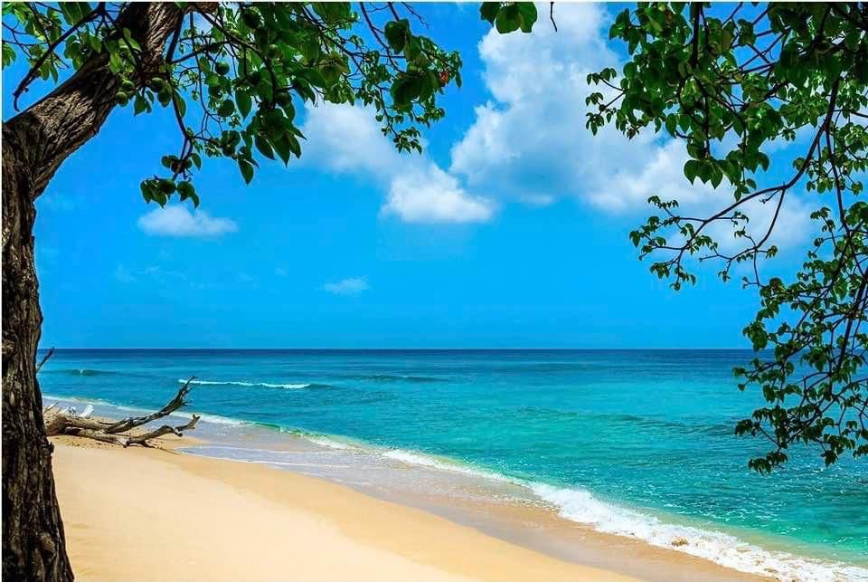 7-daagse ultieme paardenreis in het hart van het Caribisch gebied - Barbaros - Afbeelding 12