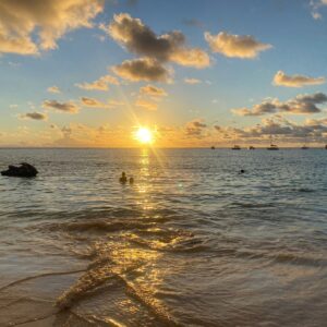 7-daagse ultieme paardenreis in het hart van het Caribisch gebied - Barbaros - Afbeelding 11