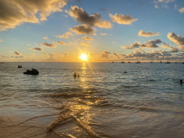 7-daagse ultieme paardenreis in het hart van het Caribisch gebied - Barbaros
