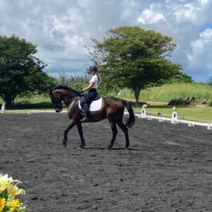 7-daagse ultieme paardenreis in het hart van het Caribisch gebied - Barbaros - Afbeelding 9