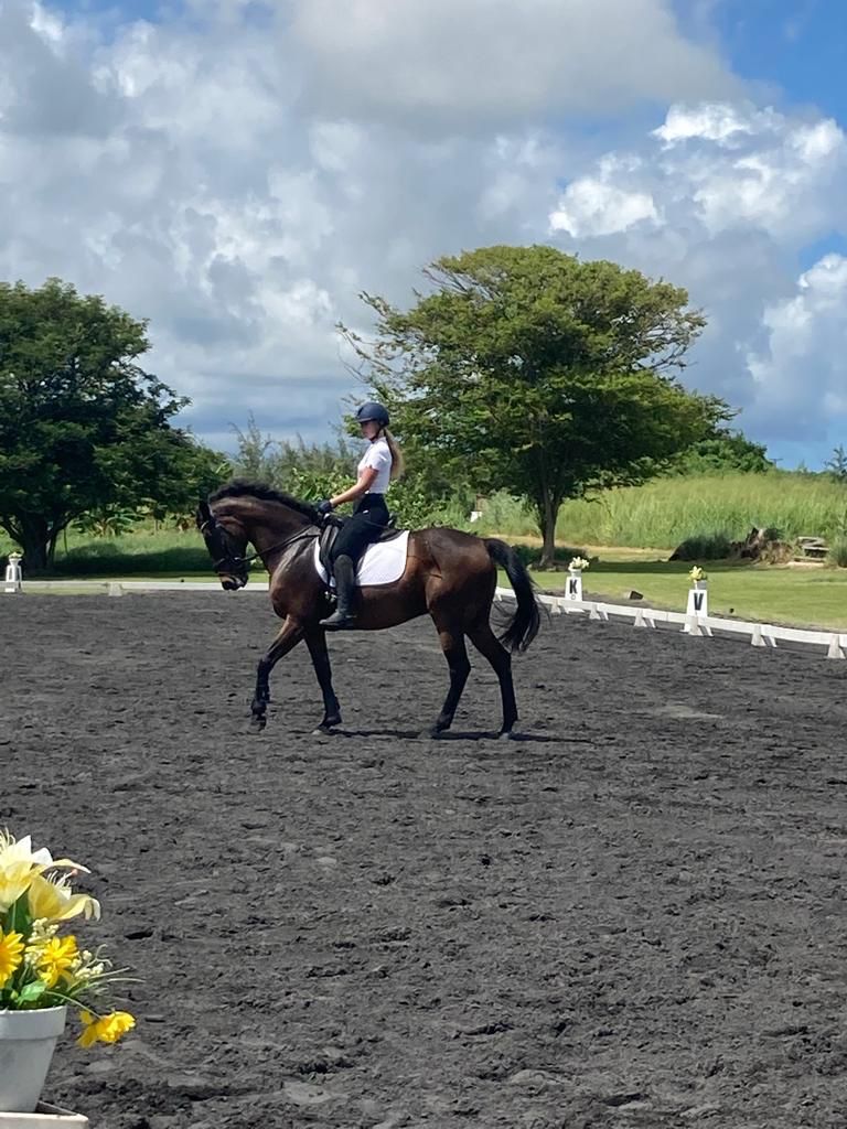 7-daagse ultieme paardenreis in het hart van het Caribisch gebied - Barbaros - Afbeelding 9