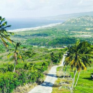 7-daagse ultieme paardenreis in het hart van het Caribisch gebied - Barbaros - Afbeelding 8