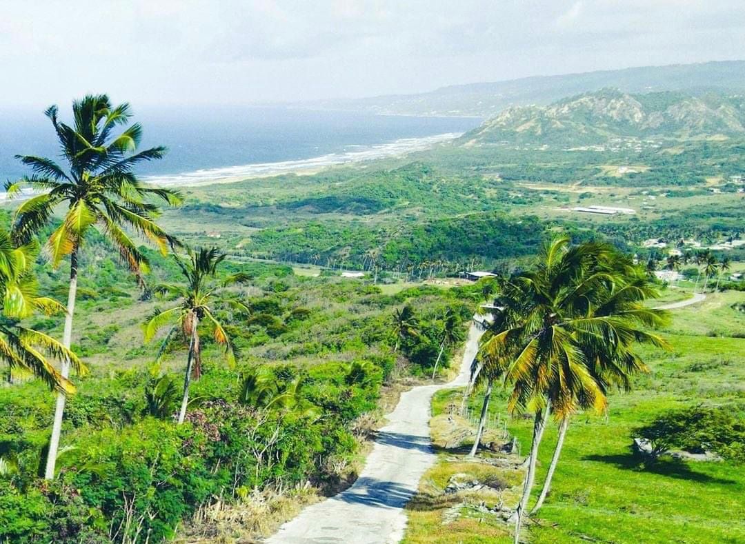 7-daagse ultieme paardenreis in het hart van het Caribisch gebied - Barbaros