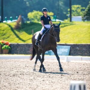 7-daagse ultieme paardenreis in het hart van het Caribisch gebied - Barbaros - Afbeelding 7