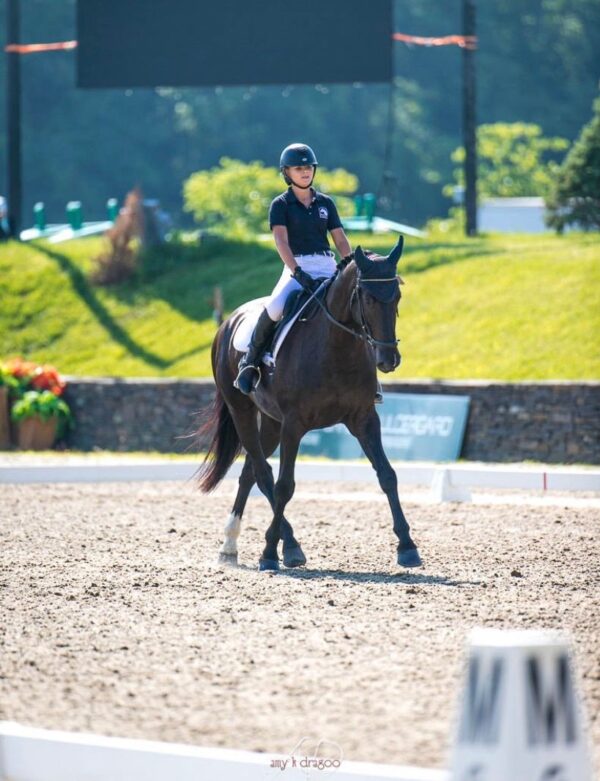 7-daagse ultieme paardenreis in het hart van het Caribisch gebied - Barbaros