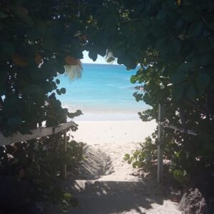 7-daagse ultieme paardenreis in het hart van het Caribisch gebied - Barbaros - Afbeelding 4