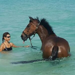 7-daagse ultieme paardenreis in het hart van het Caribisch gebied - Barbaros