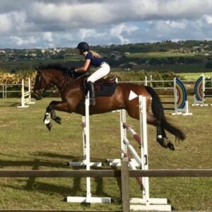 7-daagse ultieme paardenreis in het hart van het Caribisch gebied - Barbaros - Afbeelding 6