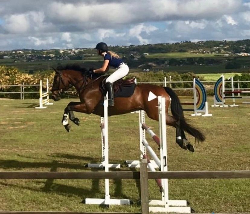 7-daagse ultieme paardenreis in het hart van het Caribisch gebied - Barbaros - Afbeelding 6