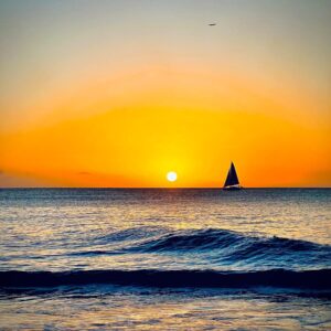 7-daagse ultieme paardenreis in het hart van het Caribisch gebied - Barbaros - Afbeelding 5