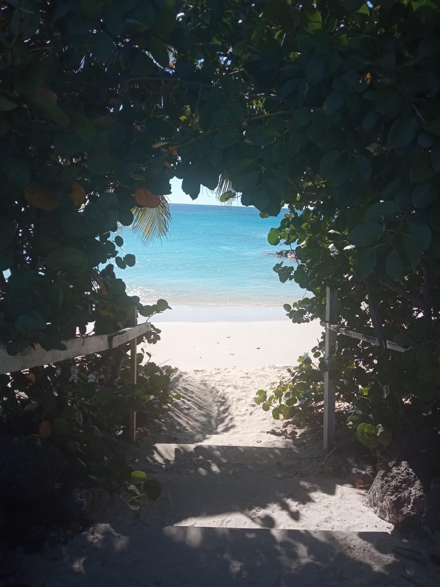 7-daagse ultieme paardenreis in het hart van het Caribisch gebied - Barbaros