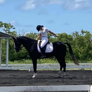 7-daagse ultieme paardenreis in het hart van het Caribisch gebied - Barbaros - Afbeelding 2