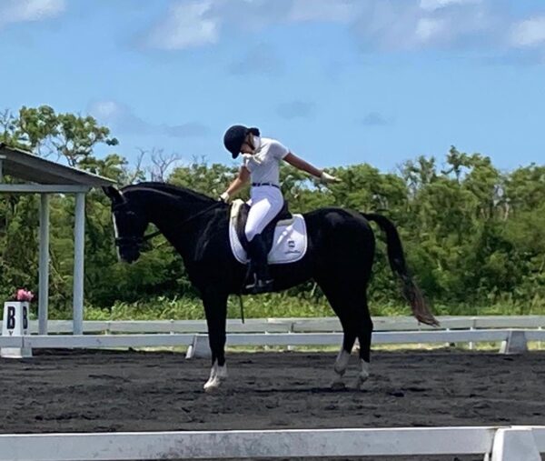 7-daagse ultieme paardenreis in het hart van het Caribisch gebied - Barbaros