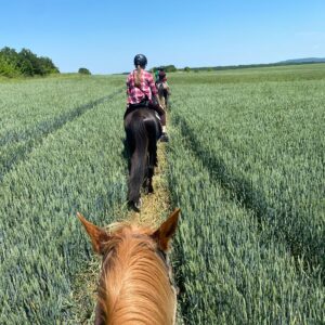 8-daagse paardrijtocht Thracië-tour - Bulgarije - Afbeelding 31