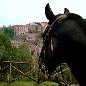 3-daagse paardrijtocht Tufsteensteden Toscane - Italië - Afbeelding 12