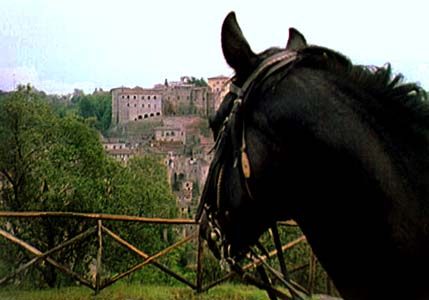 3-daagse paardrijtocht Tufsteensteden Toscane - Italië