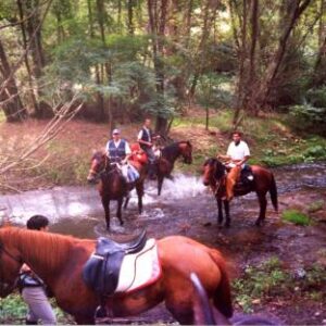 3-daagse paardrijtocht Tufsteensteden Toscane - Italië - Afbeelding 11