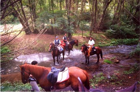 3-daagse paardrijtocht Tufsteensteden Toscane - Italië