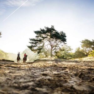 Paardrijkamp met je eigen paard voor jongeren in Westerveld Drenthe - Nederland - Afbeelding 3