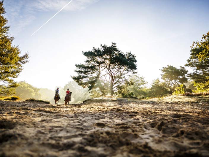 Paardrijkamp met je eigen paard voor jongeren in Westerveld Drenthe - Nederland