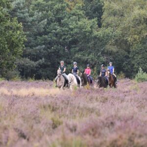 Paardrijkamp met je eigen paard voor jongeren in Westerveld Drenthe - Nederland - Afbeelding 10