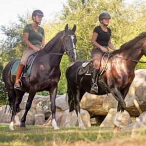 Met je eigen paard op vakantie met arrangementen in Wateren Drenthe - Nederland