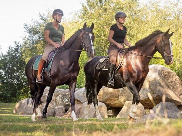 Met je eigen paard op vakantie met arrangementen in Wateren Drenthe - Nederland