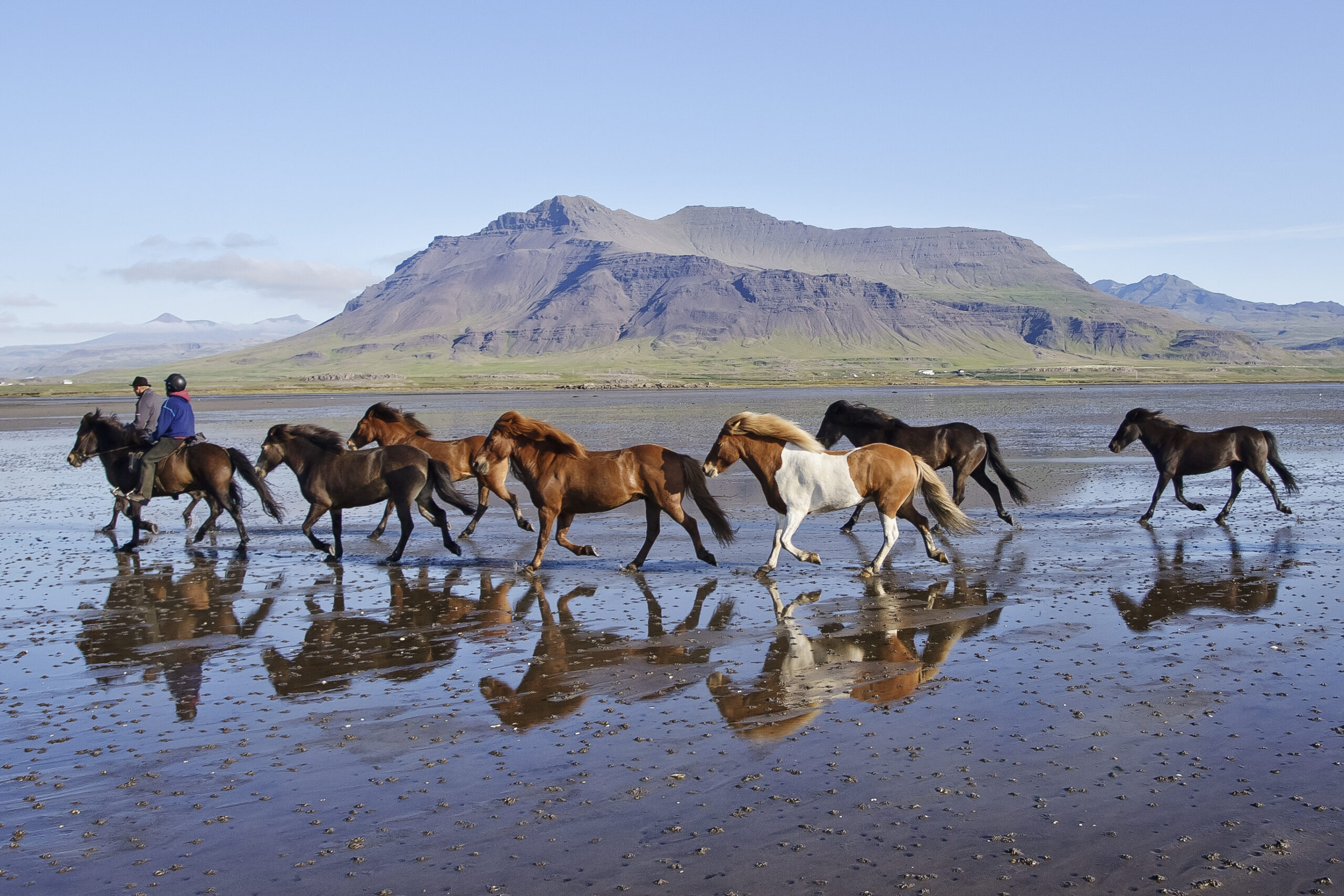 6-daagse paardrijtocht over het Snæfellsnes-schiereiland - IJsland - Afbeelding 1