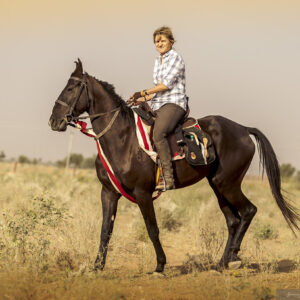 8-daagse paardrijtocht Paleis naar Paleis – India - Afbeelding 2