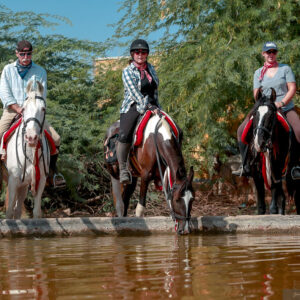 8-daagse paardrijtocht Paleis naar Paleis – India
