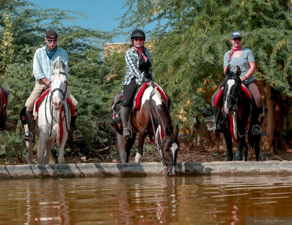 8-daagse paardrijtocht Paleis naar Paleis – India
