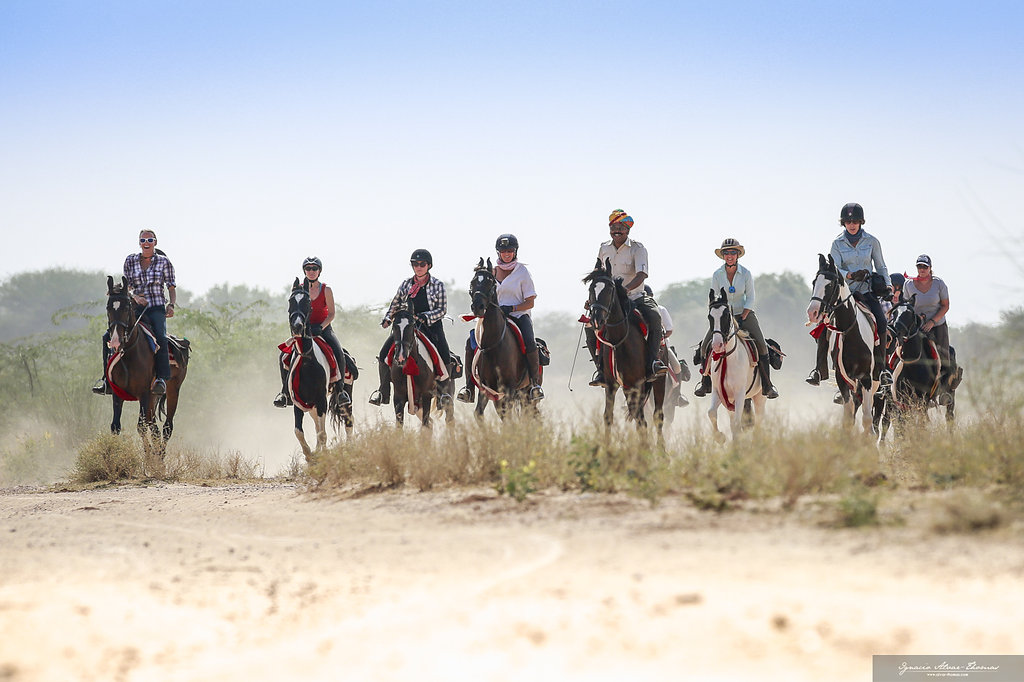 11-daagse paardrijtocht het Land der Koningen Marwar – India - Afbeelding 4