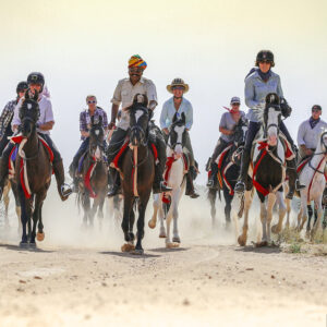 11-daagse paardrijtocht het Land der Koningen Marwar – India - Afbeelding 3